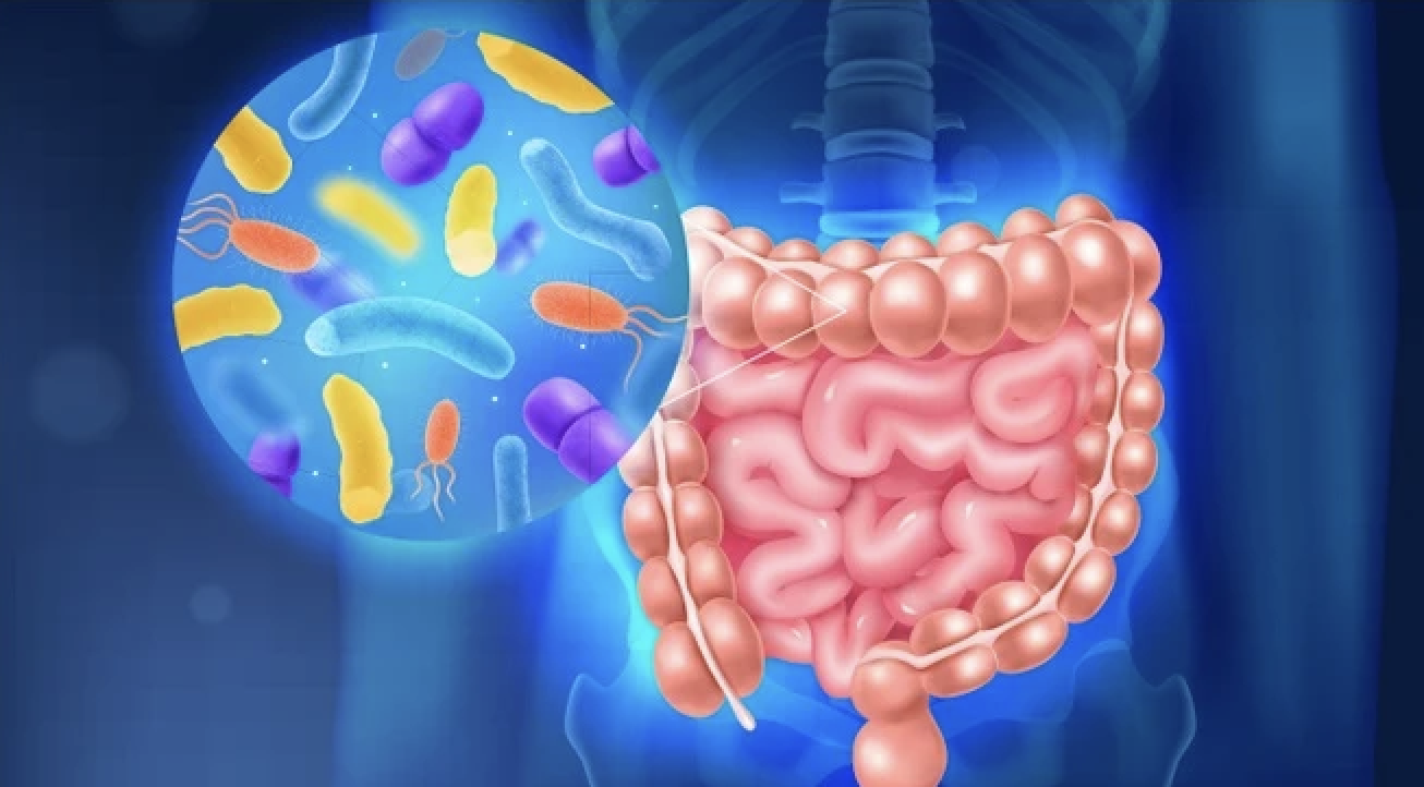 Các dấu hiệu cho thấy đường ruột có thể đang bị ảnh hưởng bởi căng thẳng kéo dài