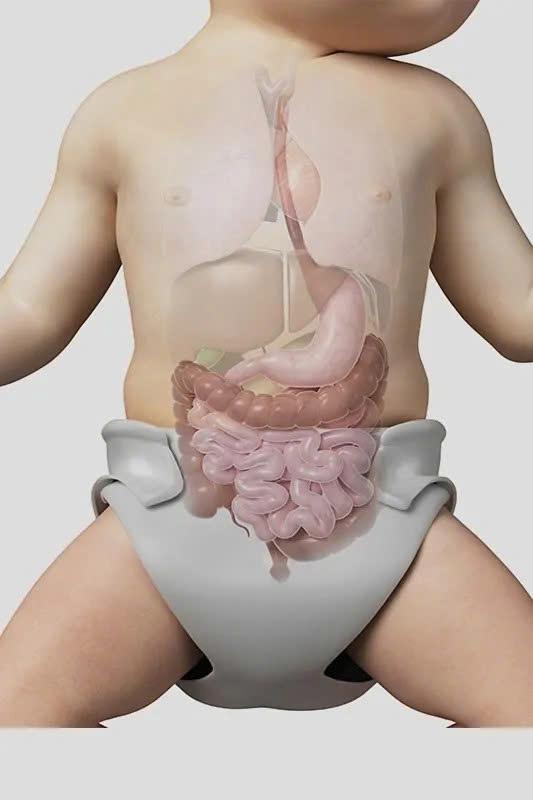 Hệ vi sinh đường ruột ở trẻ sinh mổ có thể khác biệt trong giai đoạn đầu đời