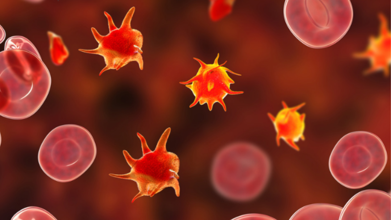 Theo dõi tiểu cầu trong sốt xuất huyết giúp phát hiện sớm nguy cơ xuất huyết