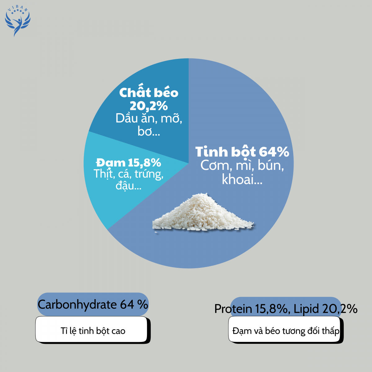 Biểu đồ tỷ lệ đạm, béo và tinh bột trong khẩu phần dinh dưỡng của người Việt Nam