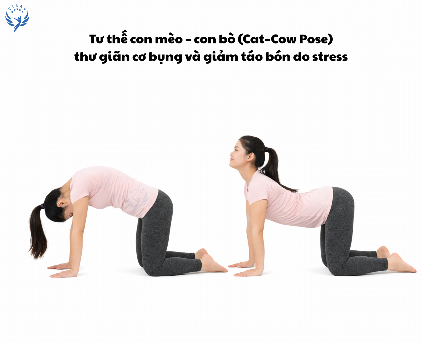 Tư thế con mèo thư gian cơ bụng, giảm táo bón