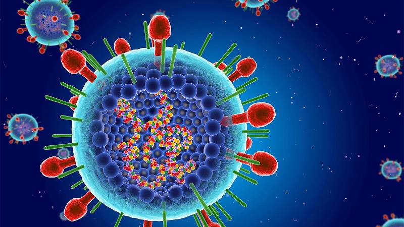 Cấu trúc virus hợp bào hô hấp RSV - nguyên nhân gây viêm phổi và viêm tiểu phế quản ở trẻ nhỏ.